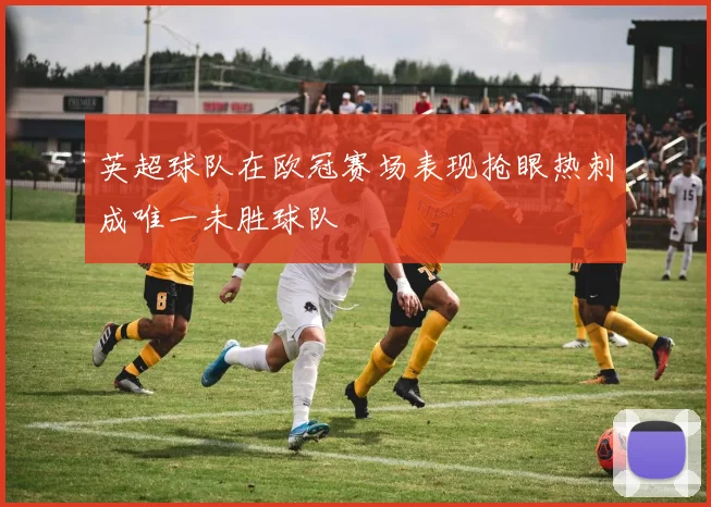 英超球队在欧冠赛场表现抢眼热刺成唯一未胜球队