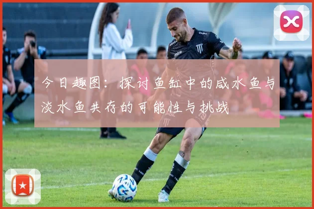 今日趣图：探讨鱼缸中的咸水鱼与淡水鱼共存的可能性与挑战